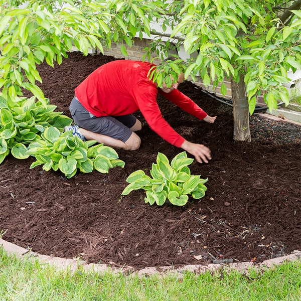 we can provide you with a detailed cost estimate for mulch installation based on the size of the area to be covered and the type of mulch you choose